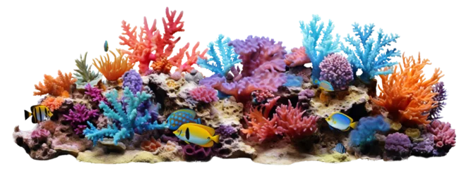 Foto auf Acrylglas Coral reef cut out © Yeti Studio