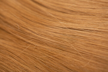 Fototapeta premium Red hair close-up as a background. Women's long orange hair. Beautifully styled wavy shiny curls. Hair coloring bright shades. Hairdressing procedures, extension.
