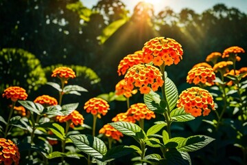 Obraz na płótnie Canvas Vibrant Floral Display in a Sunlit Garden