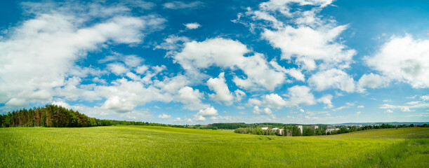 Agricultural field under a blue sky and cloud. Green grassy meadow.