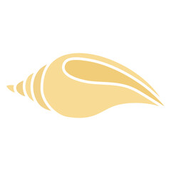 mollusk seashell sea snail