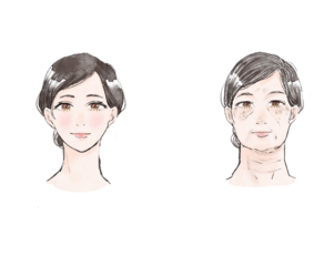 老化と若化の違いを表す女性のイラスト