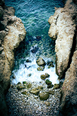 coral reef in the sea