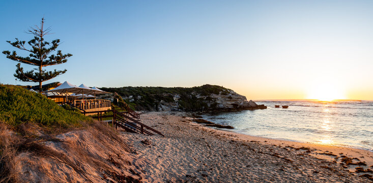 Panorama of pine tree, beach, headland, and ocean at sunset.