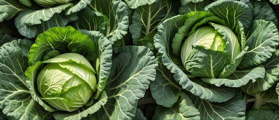 Bunch of cabbage leaves detailed texture background. from Generative AI - obrazy, fototapety, plakaty