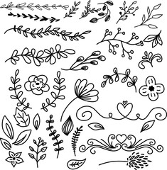 Floral graphic elements big vector set. Flowers and plants hand drawn illustrations. Set of sketches and line doodles hand drawn design floral elements. Vector illustration