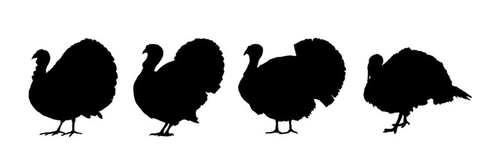 Set of turkey silhouette - vector illustration - obrazy, fototapety, plakaty