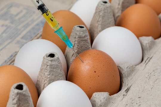 Syringe and chicken eggs. Poultry farming, antibiotic resistant bacteria and food safety concept.