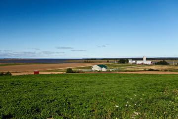 Landscape with Farmhouses near Wolfville in Nova Scotia