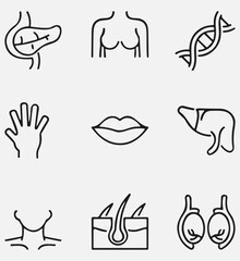 Human body Anatomy Icons vector design