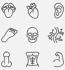Human body Anatomy Icons vector design