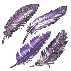 Watercolor purple bird feathers for art album elements, sketches, invitation design, frames