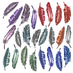 Watercolor bird feathers for art album elements, sketches, invitation design, frames
