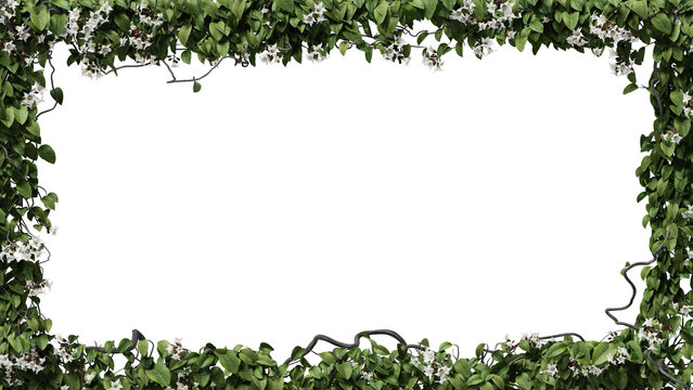 flowers ivy leaves frame for illustrations on a transparent background