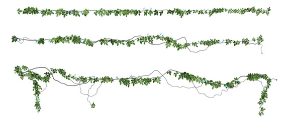 ivy plants isolated on transparent background 3d rendered © YO_CG