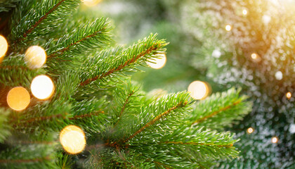 Fototapeta na wymiar Macro christmas tree background