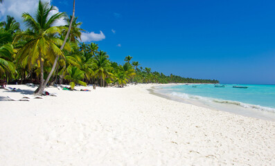 Fototapeta na wymiar Beach and tropical sea. Palm trees on tropical beach
