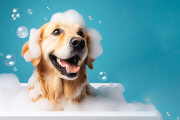 Happy Golden Retriever in bath with foam and bubbles. ai generative - obrazy, fototapety, plakaty