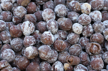 Roasted and salty hazelnut seeds for snack