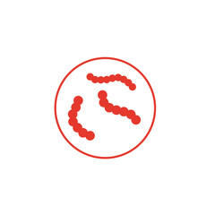 Streptococcus pyogenes illustration