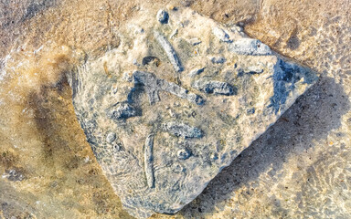 Stones rocks corals turquoise green blue water on beach Mexico.