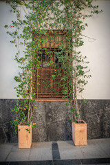 Córdoba or Córdoba is a city in southern Andalusian Spain