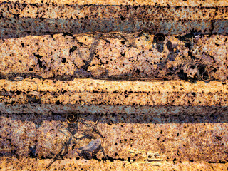 rusting metal in Atchafalaya Basin at golden hour