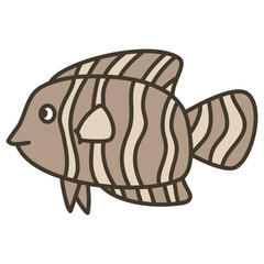 grouper coralfish