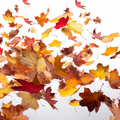 Naklejka na ściany i meble Fall leaves floating in the air. AI Generated