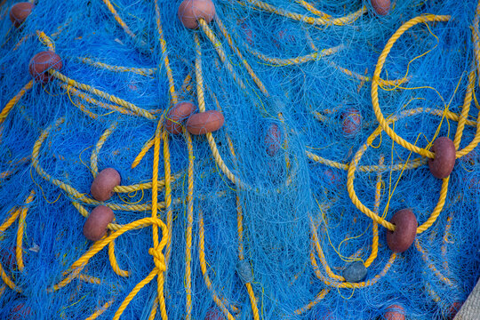 Fishing net