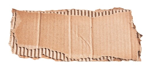  One ripped piece of cardboard material over isolated white background