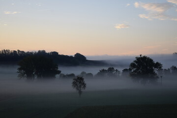morning fog at sunset time in the Eifel