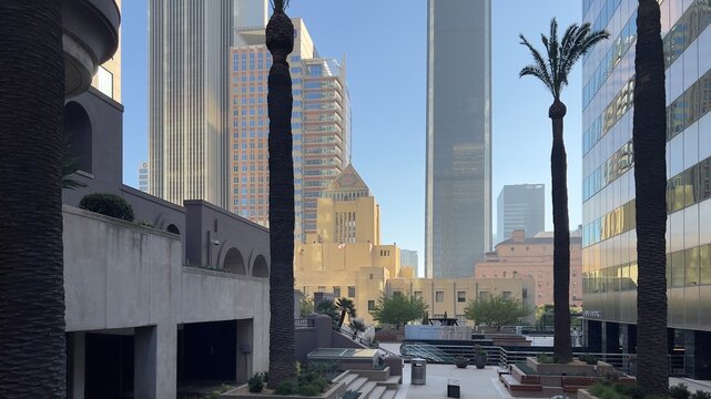 LOS ANGELES, CA, SEP 24, 2023: looking past urban park at LA Public Library's central branch in Downtown, framed by skyscrapers behind and palm trees in foreground