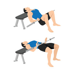 Man doing bench glute bridge with bar exercise. Flat vector illustration isolated on white background