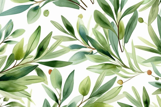 Olive tree leaves on white background. AI Generated