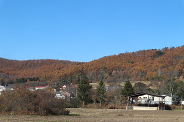 Majestic mountain forest and ski slopes in the beautiful autumn landscape in nagano Japan.