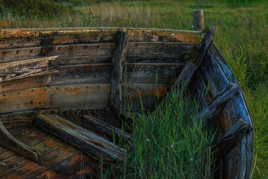 Ausgemusteres, verwittertes, altes Holzboot mit Pflanzenbewuchs.