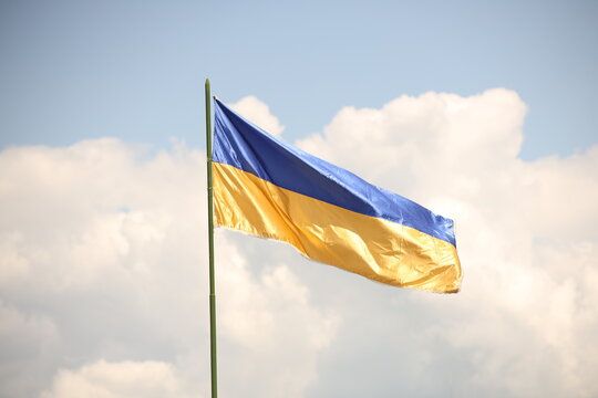 The national flag of Ukraine is developing. Blue and yellow banner. Symbol of the country. Blue sky and yellow ears of wheat. National pride. The rebel liberation army of Galicia. Independence Day