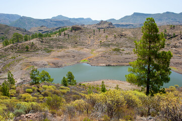 Fototapeta na wymiar Reservoir Embalse de las Ninas