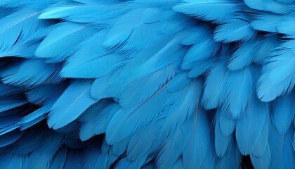 Obraz premium Vibrant blue feather texture background with intricate digital art of large bird feathers
