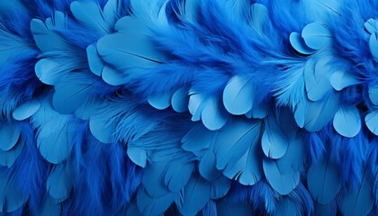 Blue feathers texture background with intricate digital art of majestic big bird feathers - obrazy, fototapety, plakaty