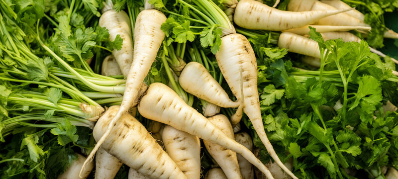 Heap of parley or parsnip roots with green leaves, closeup detail. Generative AI