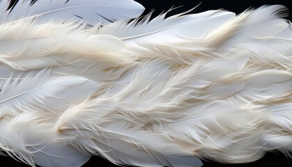 White feathers texture background detailed digital art of big bird feathers in monochromestyle