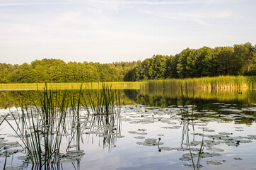 studzieniczna lake , Poland, Augustów