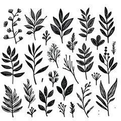 black Plant nature hand drawn set. Collection botanical element. vector on white background