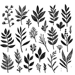 black Plant nature hand drawn set. Collection botanical element. vector on white background