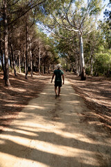 Fototapeta premium Young man walking through alley of trees in a beautiful day at park.