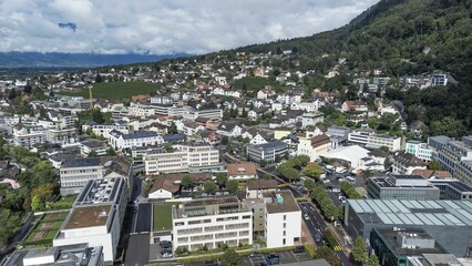 Fototapeta na wymiar Aerial view of Liechtenstein surrounded by buildings and trees