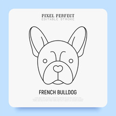 French bulldog head thin line icon. Dog breed. Editable stroke. Vector illustration.