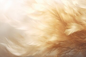 Ethereal golden feathers background, glowing light shines through, light and airy design